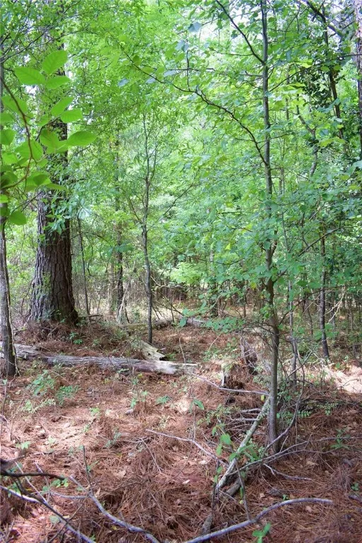 Property image 4 at 113 Leon Drive, Anderson, SC 29624