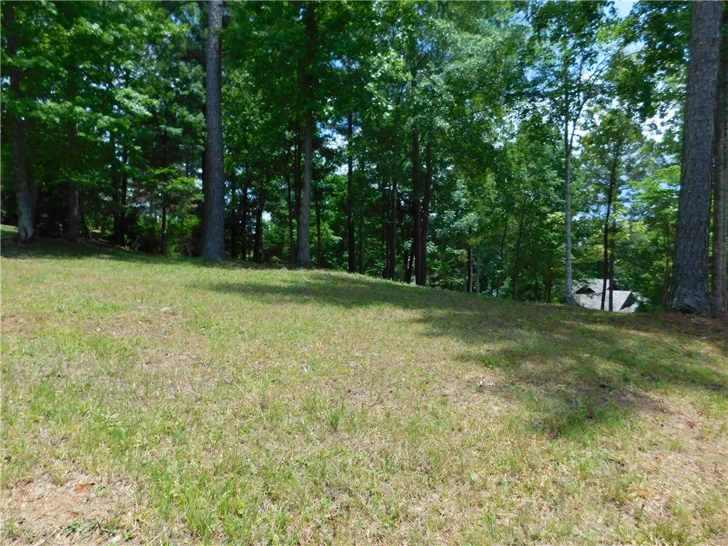 Property image 1 at 303 Broadleaf Court, Salem, SC 29676