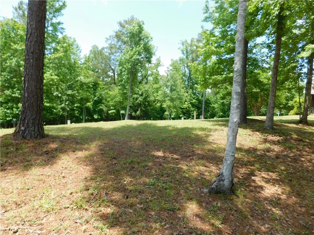 Property image 5 at 303 Broadleaf Court, Salem, SC 29676