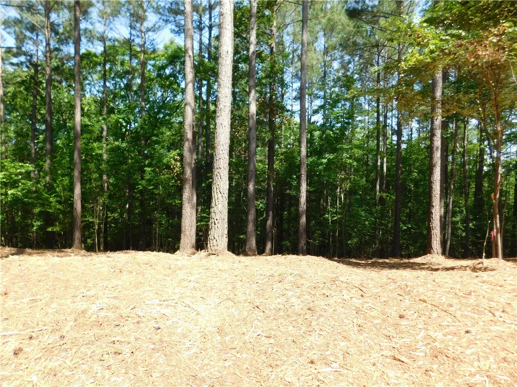 Property image 1 at 521 Brookgreen Trail, Salem, SC 29676