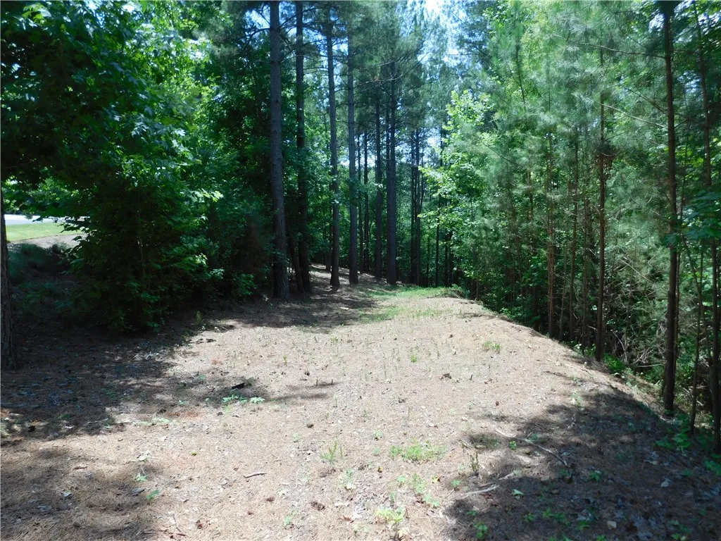 Property image 1 at 309 Broadleaf Court, Salem, SC 29676