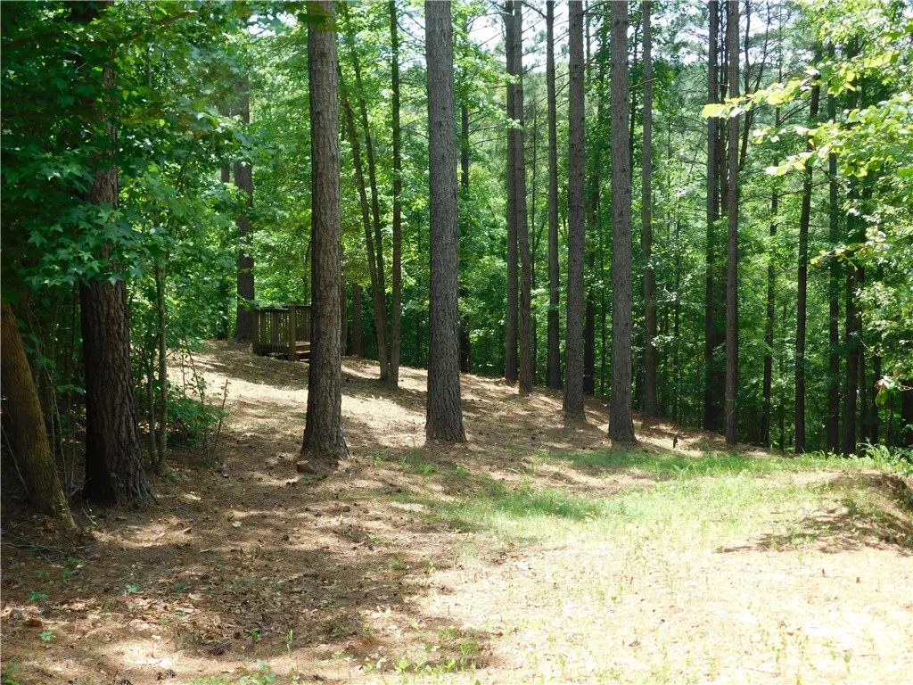Property image 2 at 309 Broadleaf Court, Salem, SC 29676