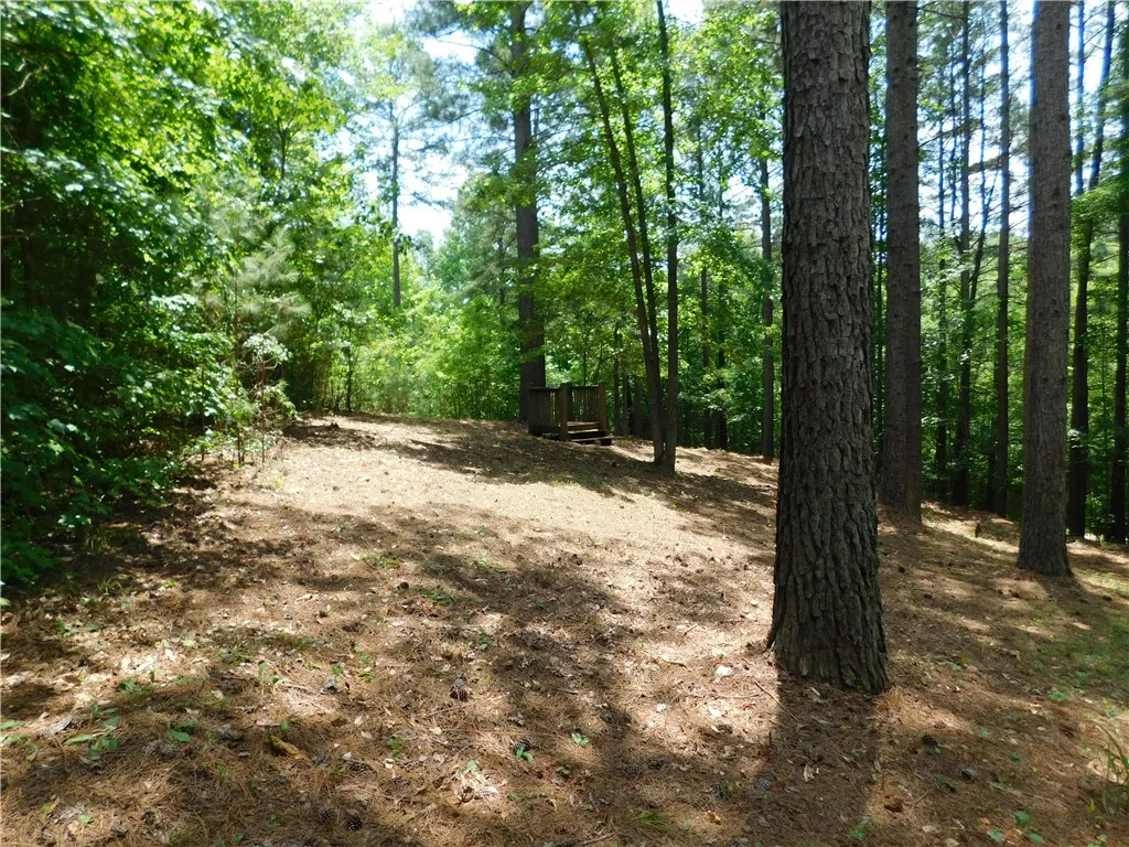 Property image 3 at 309 Broadleaf Court, Salem, SC 29676