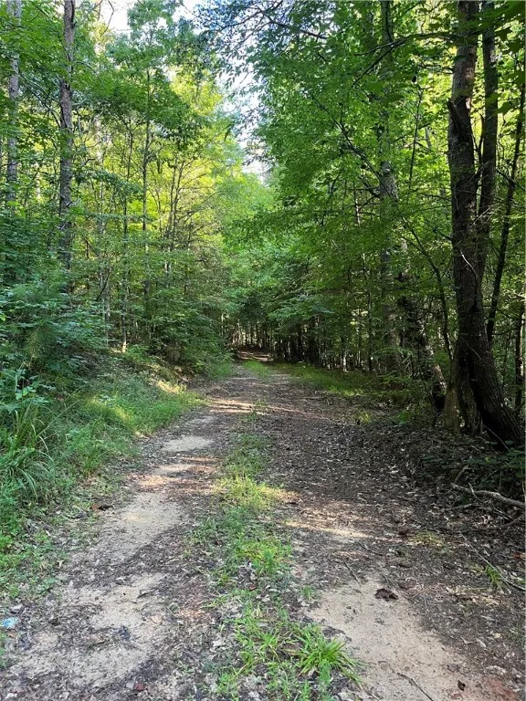 Property image 3 at 000 RT 130 Highway, Seneca, SC 29672