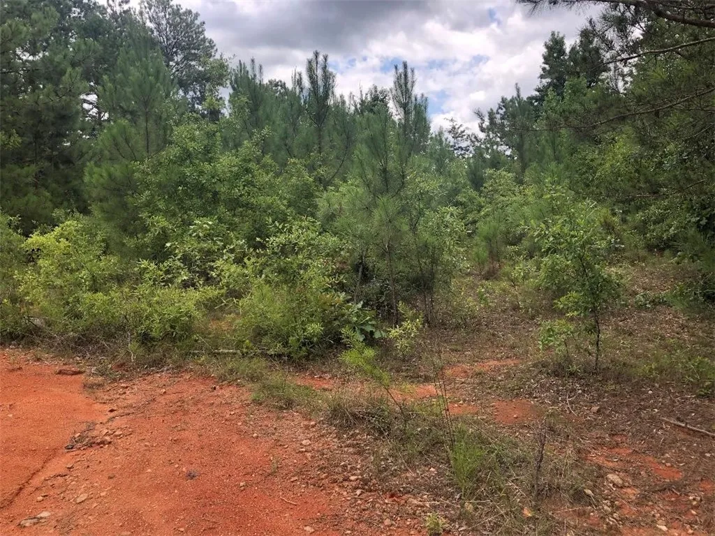 Property image 3 at 00 COYOTE Lane, Iva, SC 29655