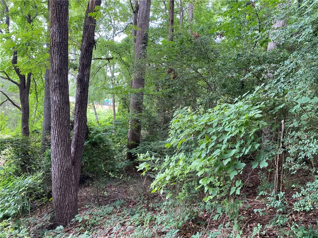 Property image 3 at 211 Elizabeth Lane, Anderson, SC 29621