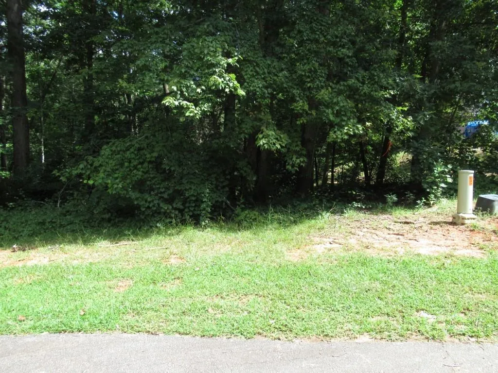 Property image 3 at 128 Oolenoy Court, Pickens, SC 29671