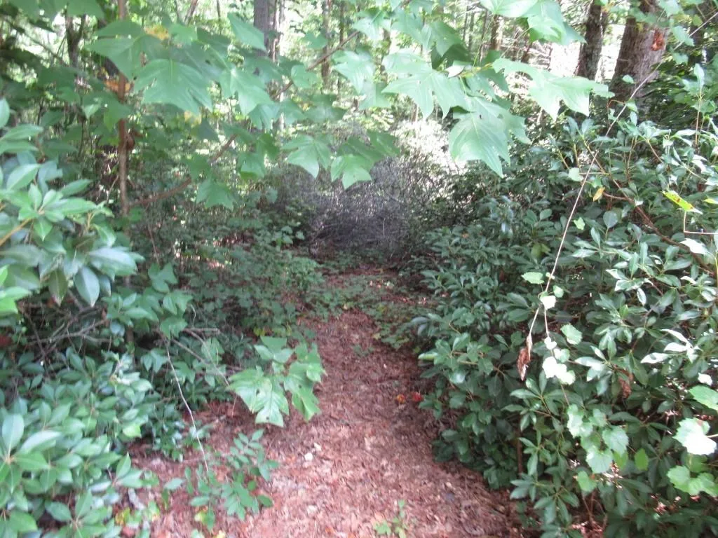 Property image 4 at 128 Oolenoy Court, Pickens, SC 29671
