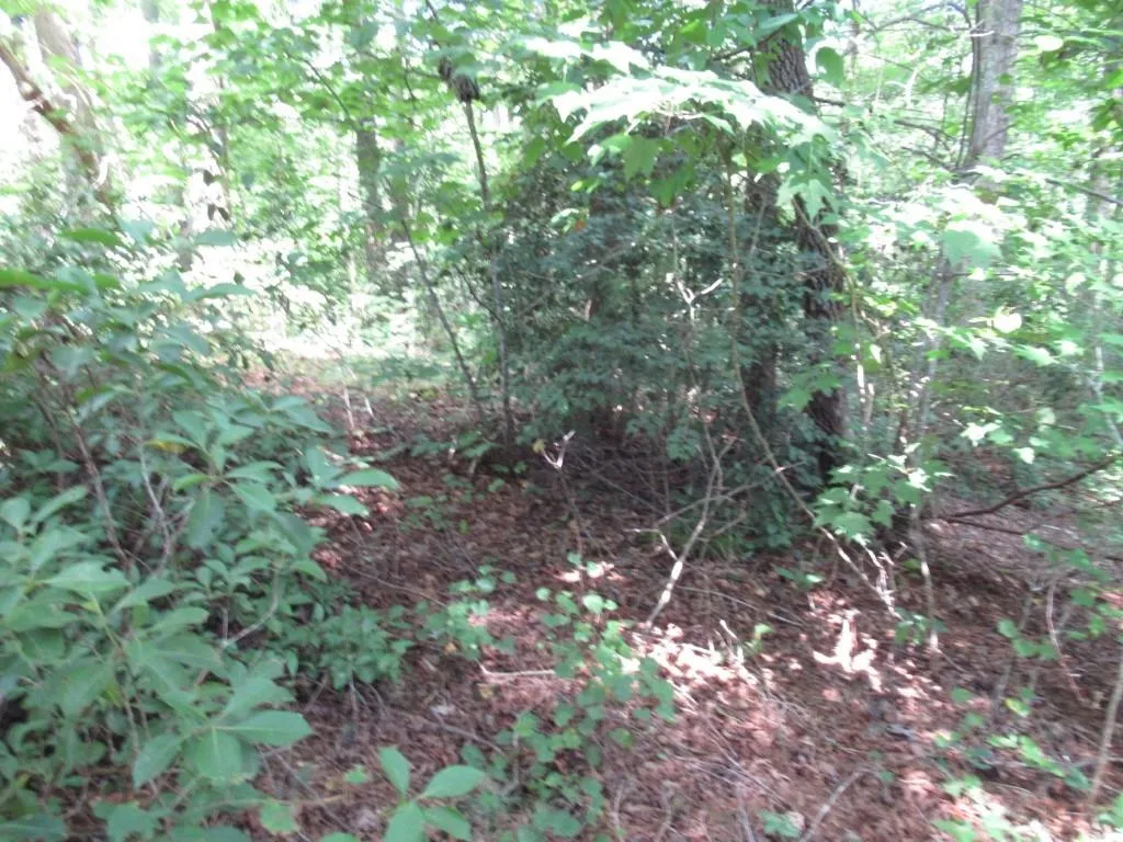 Property image 5 at 128 Oolenoy Court, Pickens, SC 29671