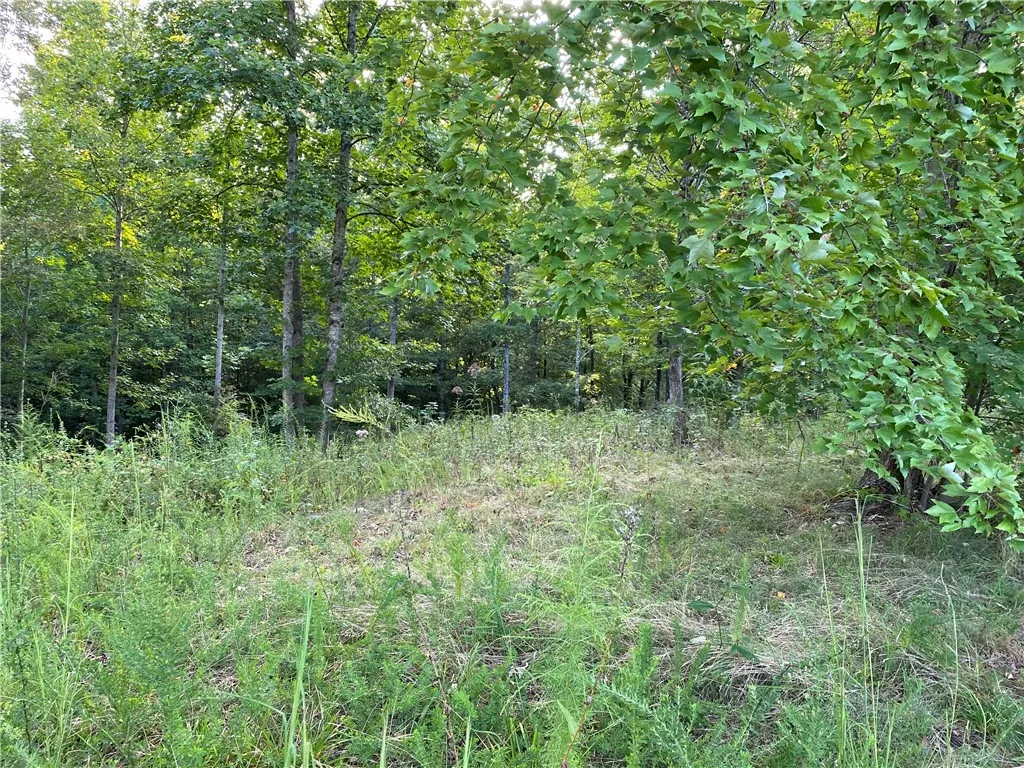Property image 1 at 00 Robinhood Drive, Walhalla, SC 29691