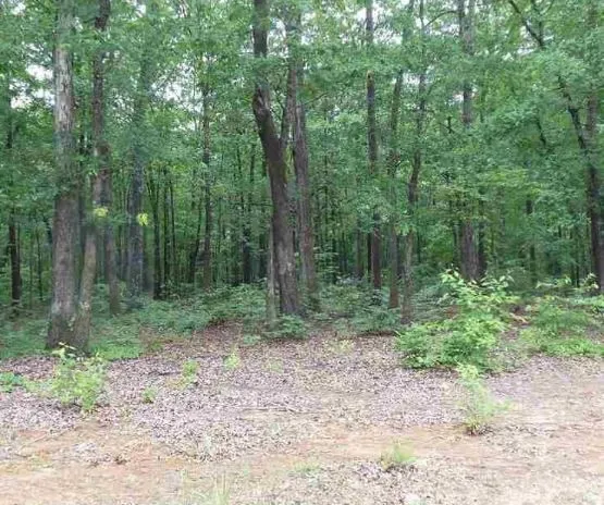 Property image 3 at 117 Constitution Avenue, Pendleton, SC 29670