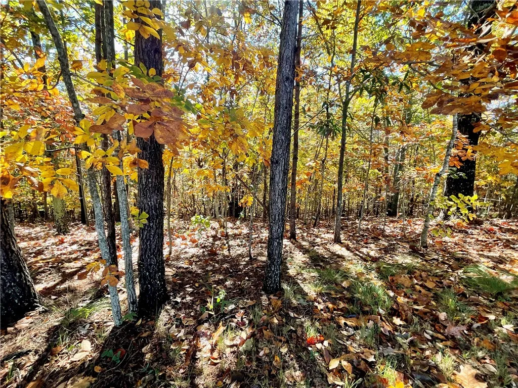 Property image 3 at 203 Long View Court, Pickens, SC 29671