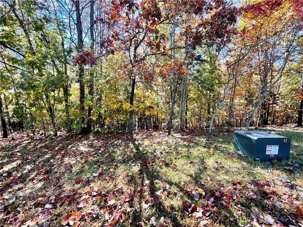 Property image 5 at 203 Long View Court, Pickens, SC 29671