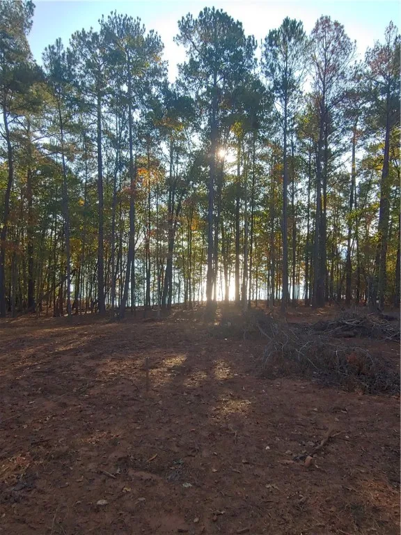 Property image 5 at 118 Keowee Club Road, Townville, SC 29689