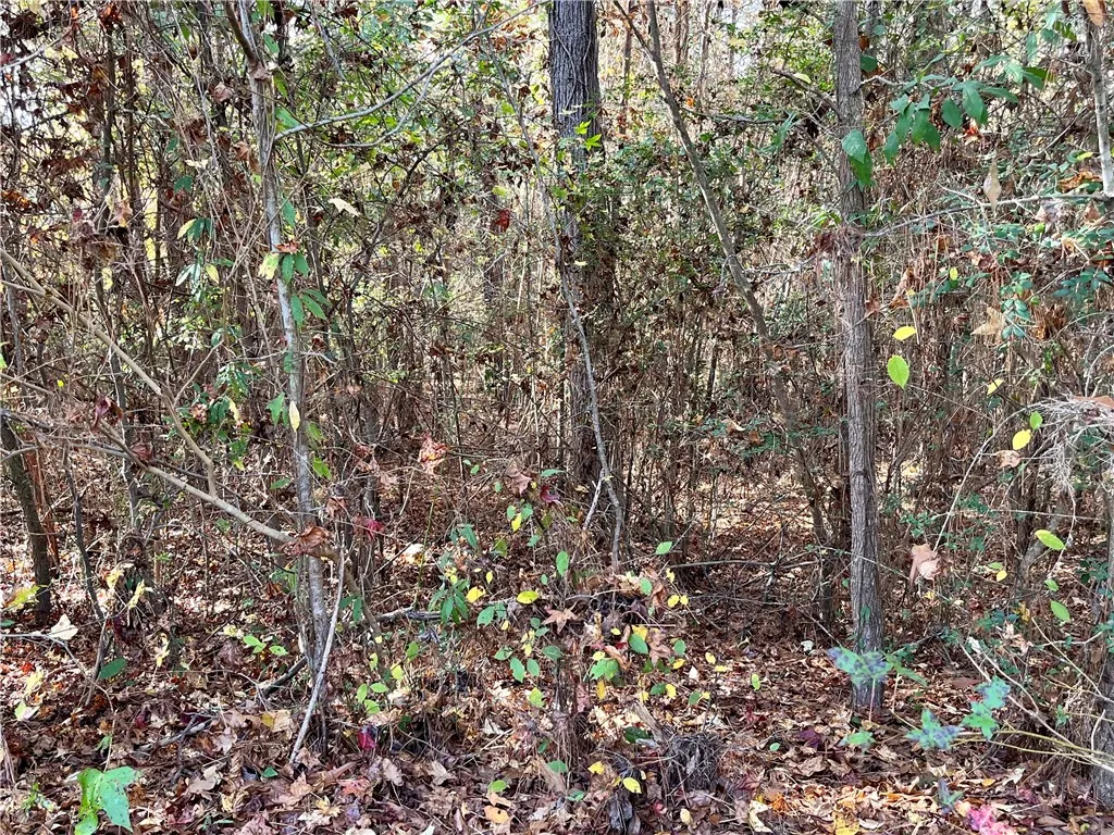 Property image 4 at 00 Holly Ridge Drive, Anderson, SC 29621
