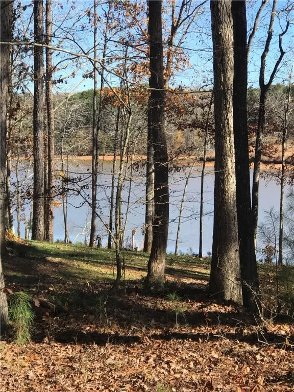 Property image 3 at 150 Waterside Drive, Iva, SC 29655