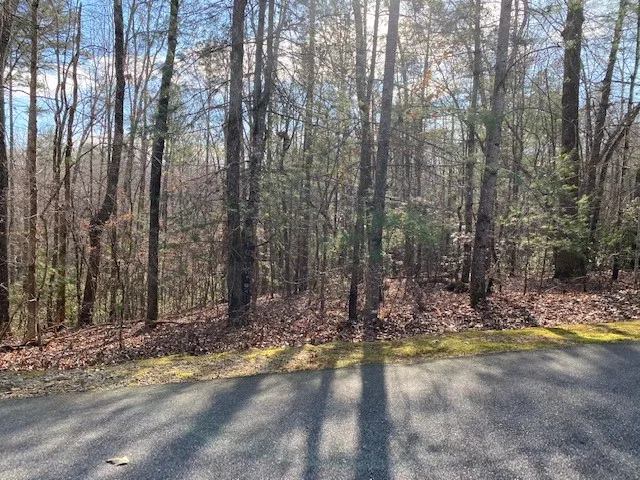 Property image 4 at Lot 39 Turtlehead Drive, Salem, SC 29676