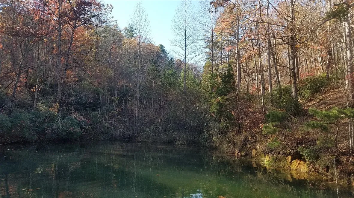Property image 3 at Lot 2 Shadow Walk, Salem, SC 29676