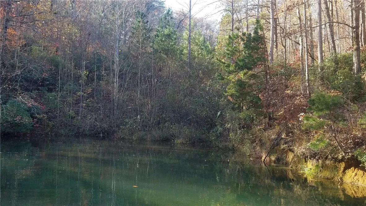 Property image 5 at Lot 2 Shadow Walk, Salem, SC 29676