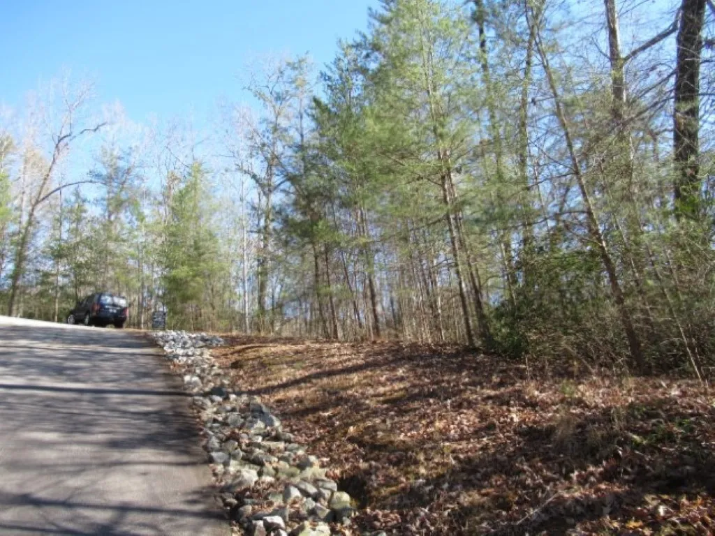Property image 1 at 306 Woodmere Drive, Pickens, SC 29671