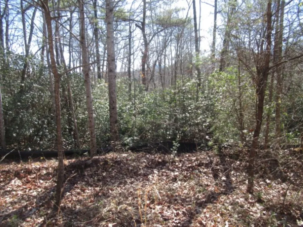 Property image 5 at 306 Woodmere Drive, Pickens, SC 29671