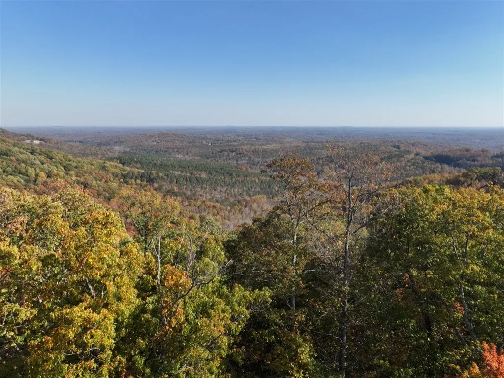 Property image 3 at 106 Ridge Pass Way, Landrum, SC 29356