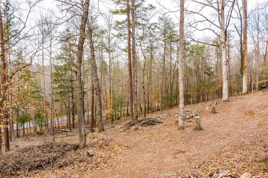 Property image 2 at 155 Carrousel Drive, Central, SC 29630