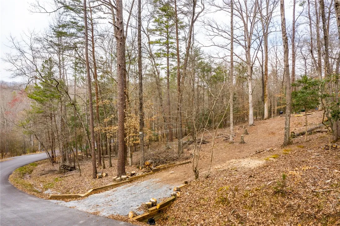 Property image 3 at 155 Carrousel Drive, Central, SC 29630