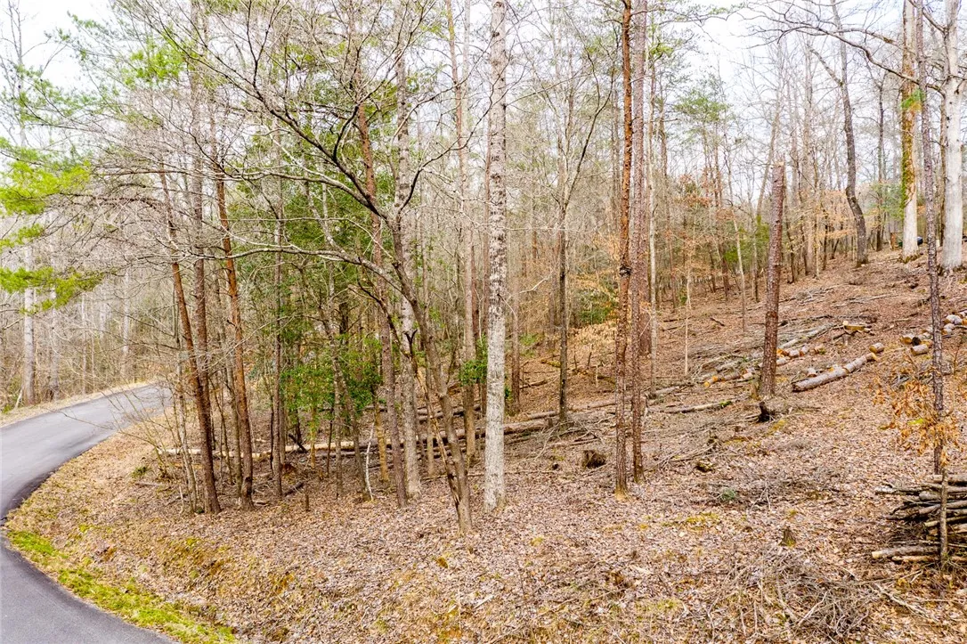 Property image 4 at 155 Carrousel Drive, Central, SC 29630