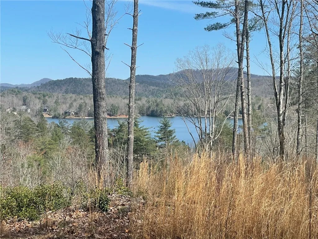 Property image 1 at NP5 Old Chapman Bridge Road, Salem, SC 29676