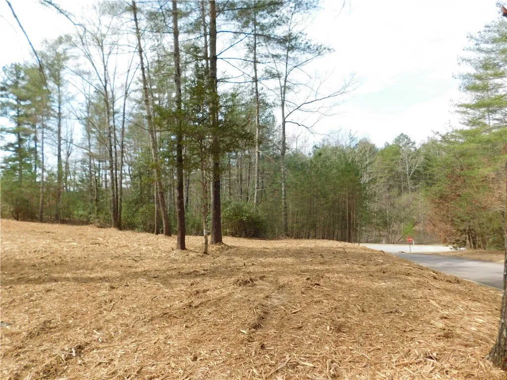 Property image 2 at 110 Horseback Trail, Sunset, SC 29685