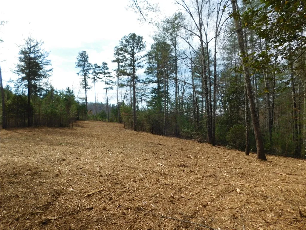 Property image 3 at 110 Horseback Trail, Sunset, SC 29685