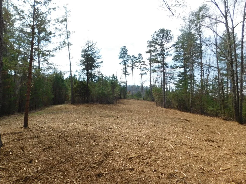 Property image 4 at 110 Horseback Trail, Sunset, SC 29685