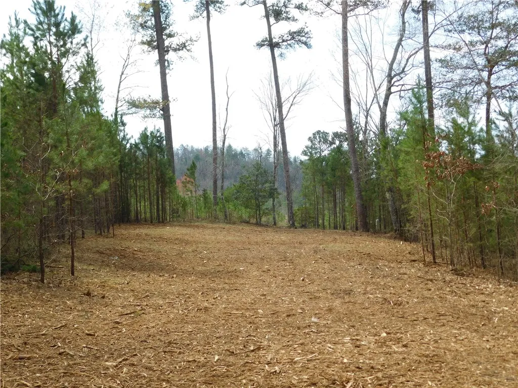 Property image 5 at 110 Horseback Trail, Sunset, SC 29685