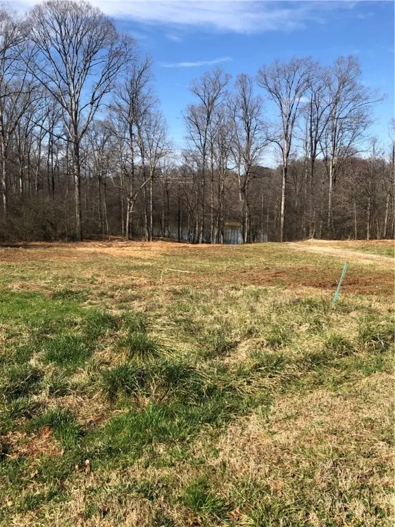 Property image 4 at Lot 26 Arrowhead Lake Trail, Westminster, SC 29693