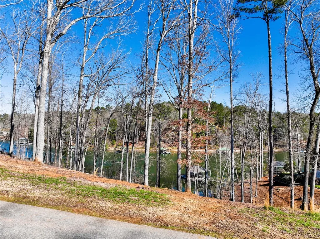 Property image 3 at 00 Lot 23 Bayside Drive, West Union, SC 29696
