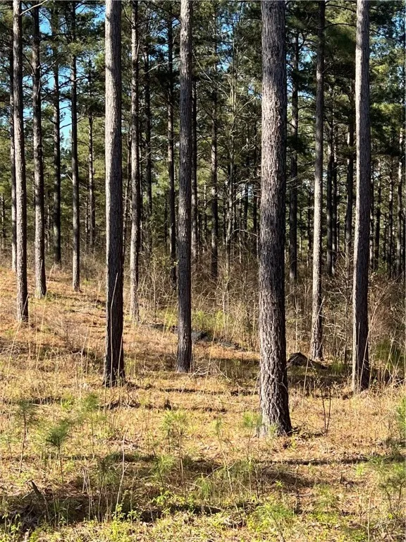 Property image 4 at Lot 51 Highlands Ridge Road, Salem, SC 29676