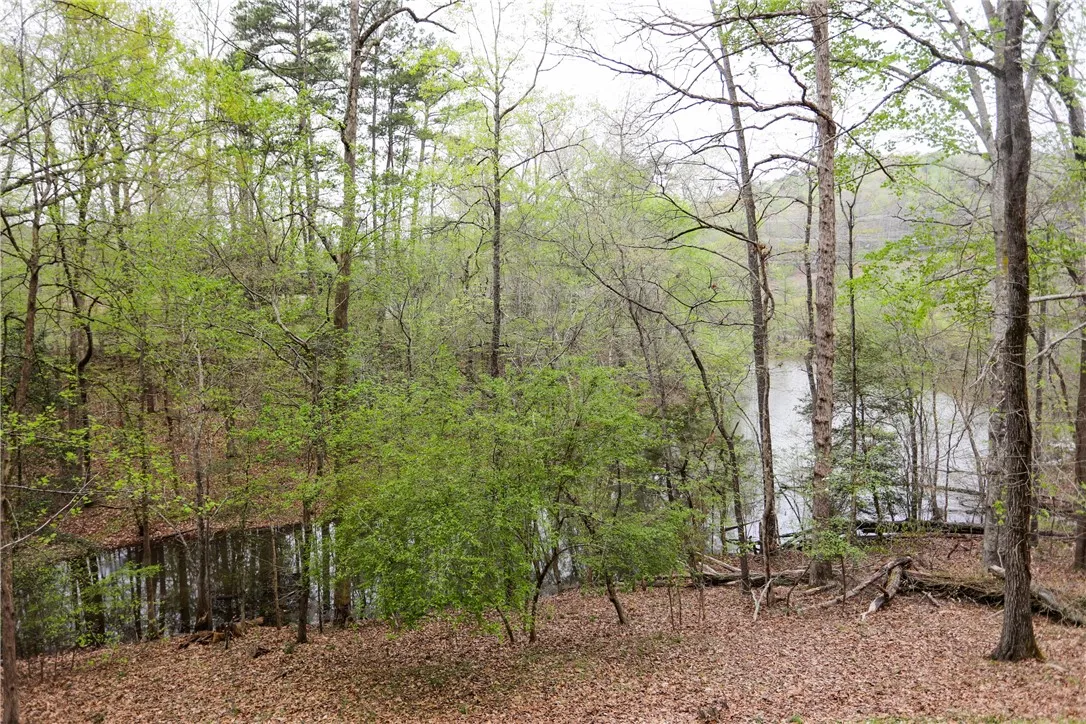 Property image 3 at 492 Pin Du Lac Drive, Central, SC 29630