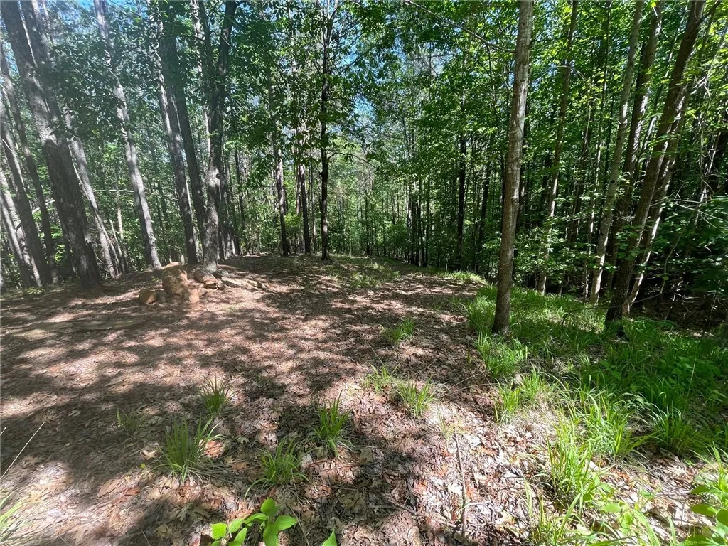Property image 2 at 182 Creek Stone Court, Six Mile, SC 29682