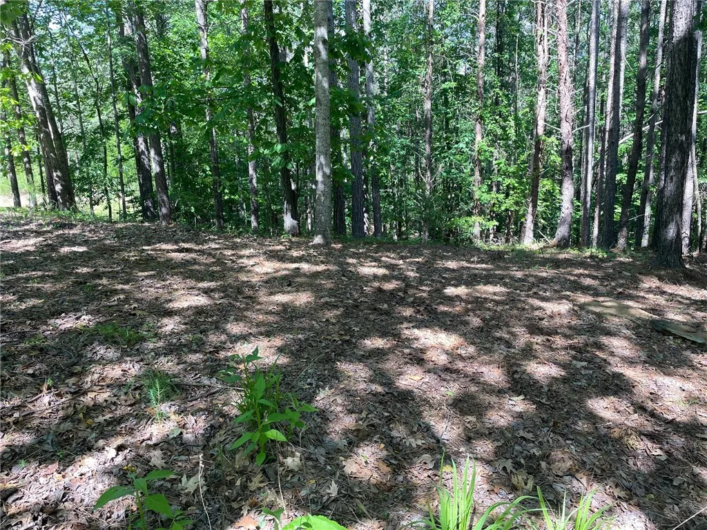 Property image 3 at 182 Creek Stone Court, Six Mile, SC 29682