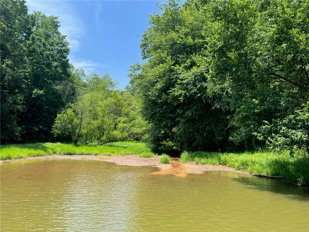 Property image 3 at Lot 14 Arrowhead Lake Trail, Westminster, SC 29693