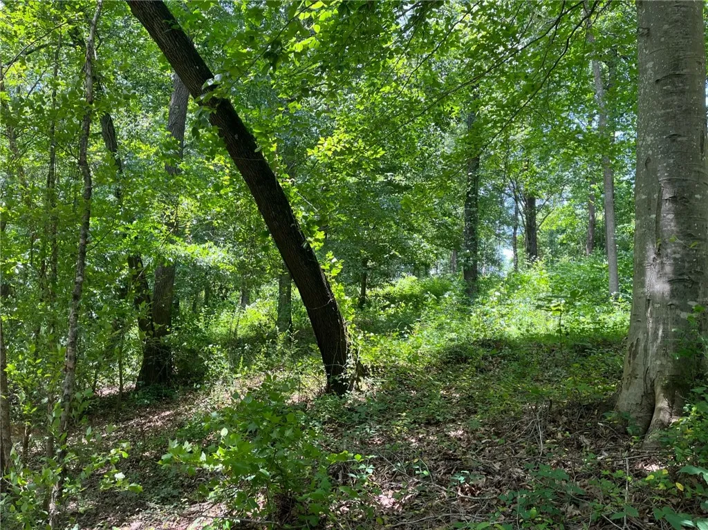 Property image 5 at Lot 14 Arrowhead Lake Trail, Westminster, SC 29693