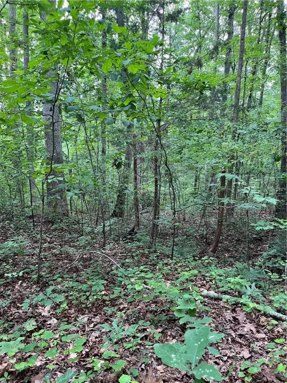 Property image 3 at 00 Sunset Drive, Easley, SC 29642