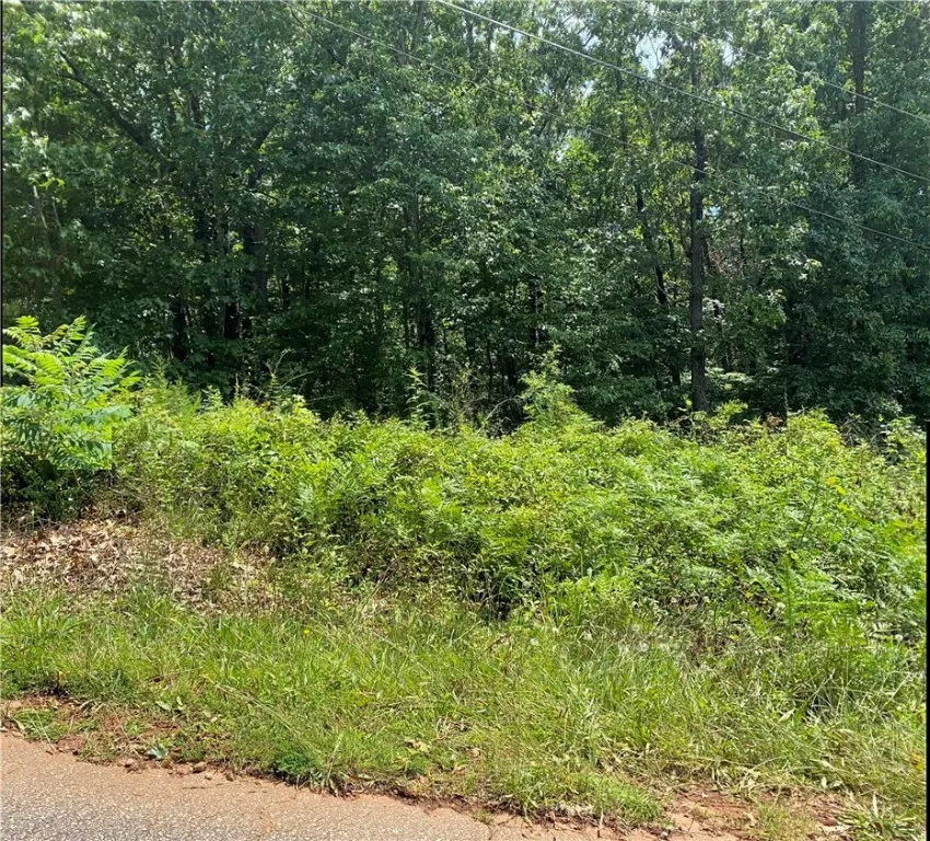 Property image 5 at 0 Fields Avenue, Anderson, SC 29625