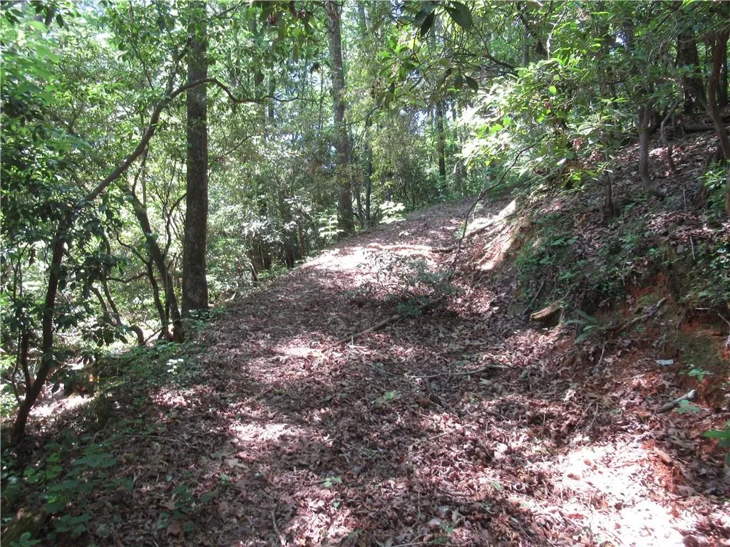 Property image 4 at 371 Gauley Falls Road, Pickens, SC 29671