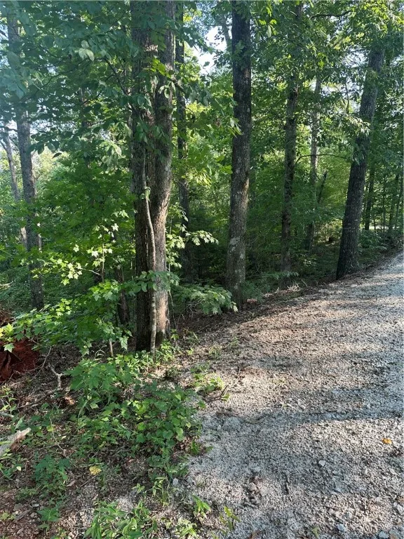 Property image 2 at 00 Mountain Top Drive, Tamassee, SC 29686