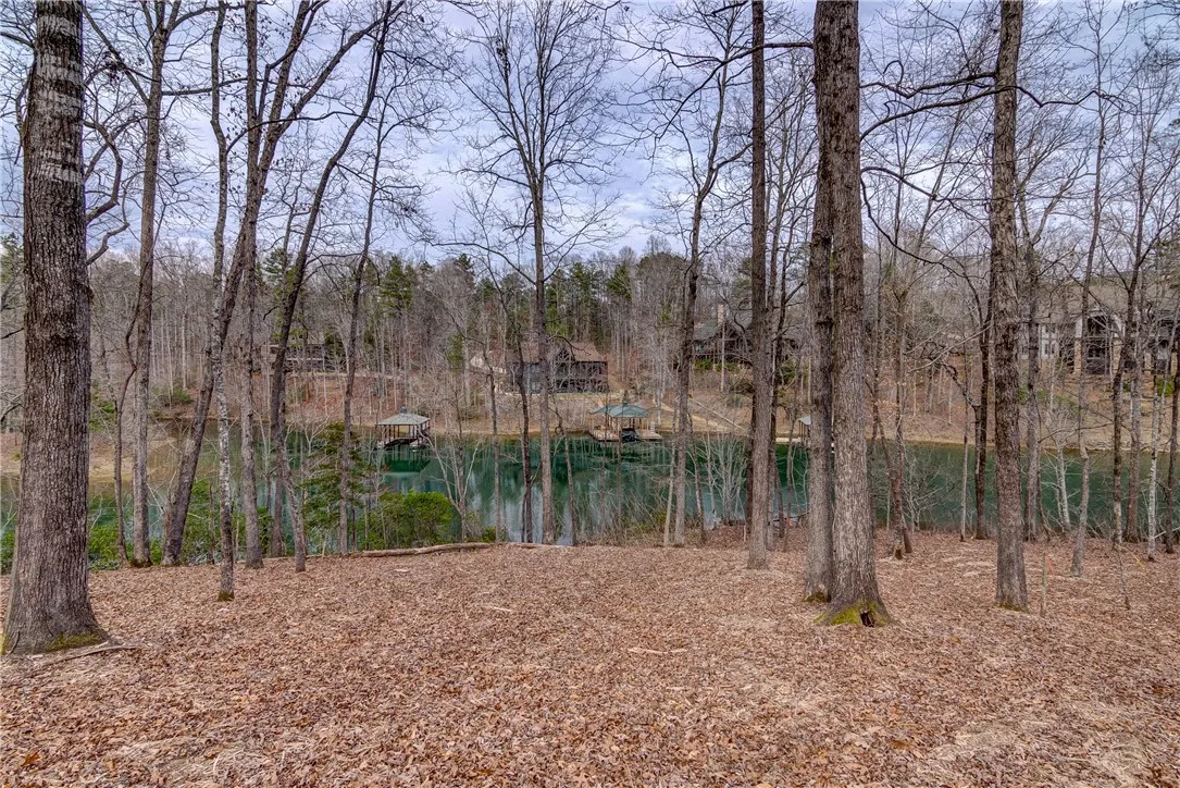 Property image 1 at Lot 6 Grays Peak Drive, Salem, SC 29676