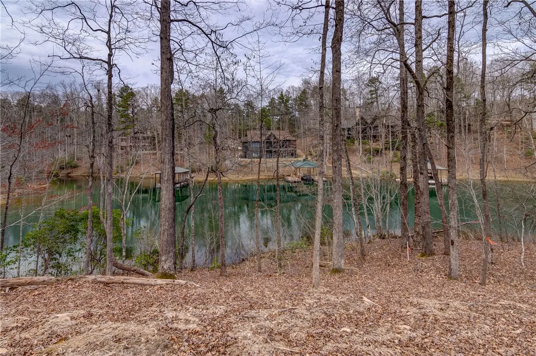 Property image 2 at Lot 6 Grays Peak Drive, Salem, SC 29676
