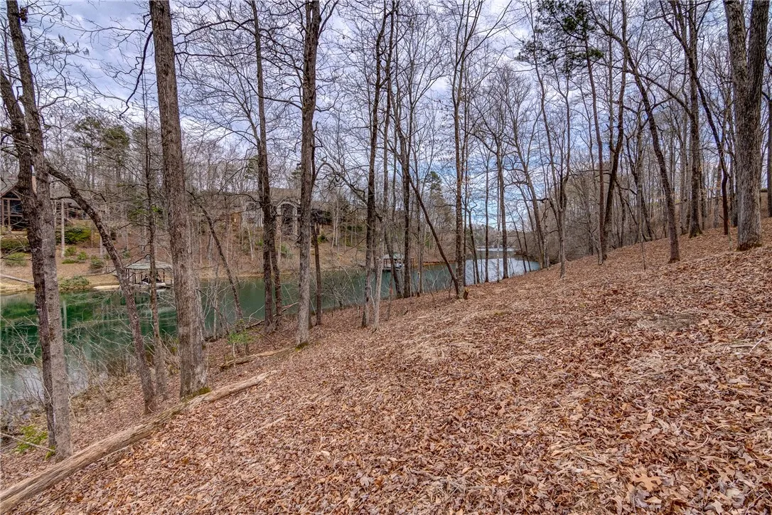 Property image 3 at Lot 6 Grays Peak Drive, Salem, SC 29676