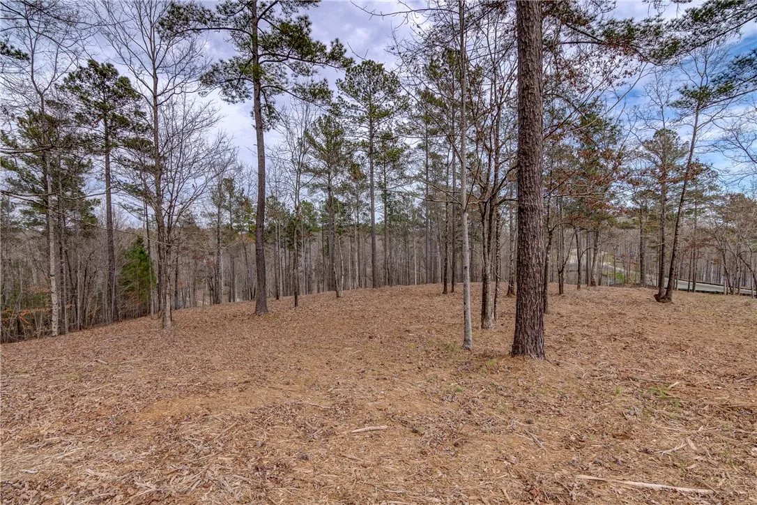 Property image 5 at Lot 6 Grays Peak Drive, Salem, SC 29676